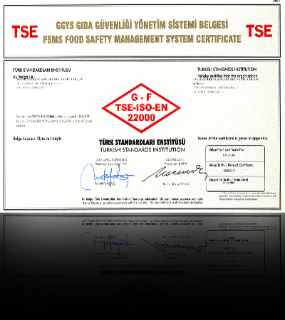 G-F  TSE-ISO-EN  22000